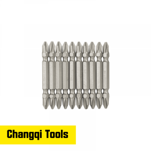 10 pcs Double-End Bits Set