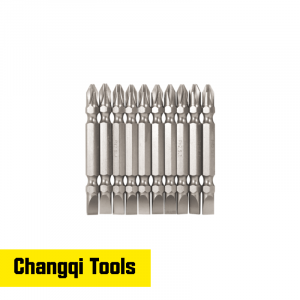 10pcs Double-End Bits Set